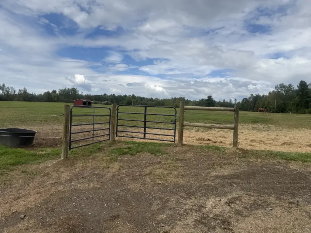 Horse paddock with metal gates and wooden post-and-rail fencing
