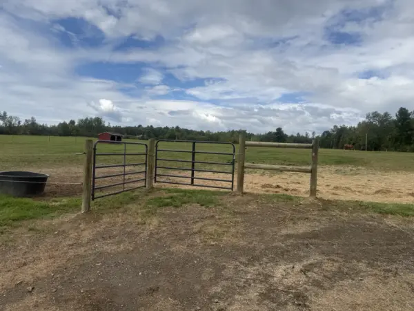 Horse paddock with metal gates and wooden post-and-rail fencing