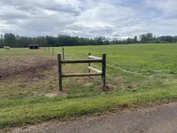 Horse fence corner post with pasture and grazing horse behind